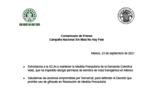 COMUNICADO: Exhortamos a la SCJN a mantener la Medida Precautoria de la Demanda Colectiva Maíz | 23 de septiembre de 2021